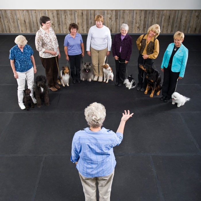 Woman instructs clients and their dogs during an obedience class